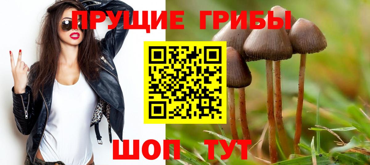 Псилоцибиновые грибы GOLDEN TEACHER Избербаш